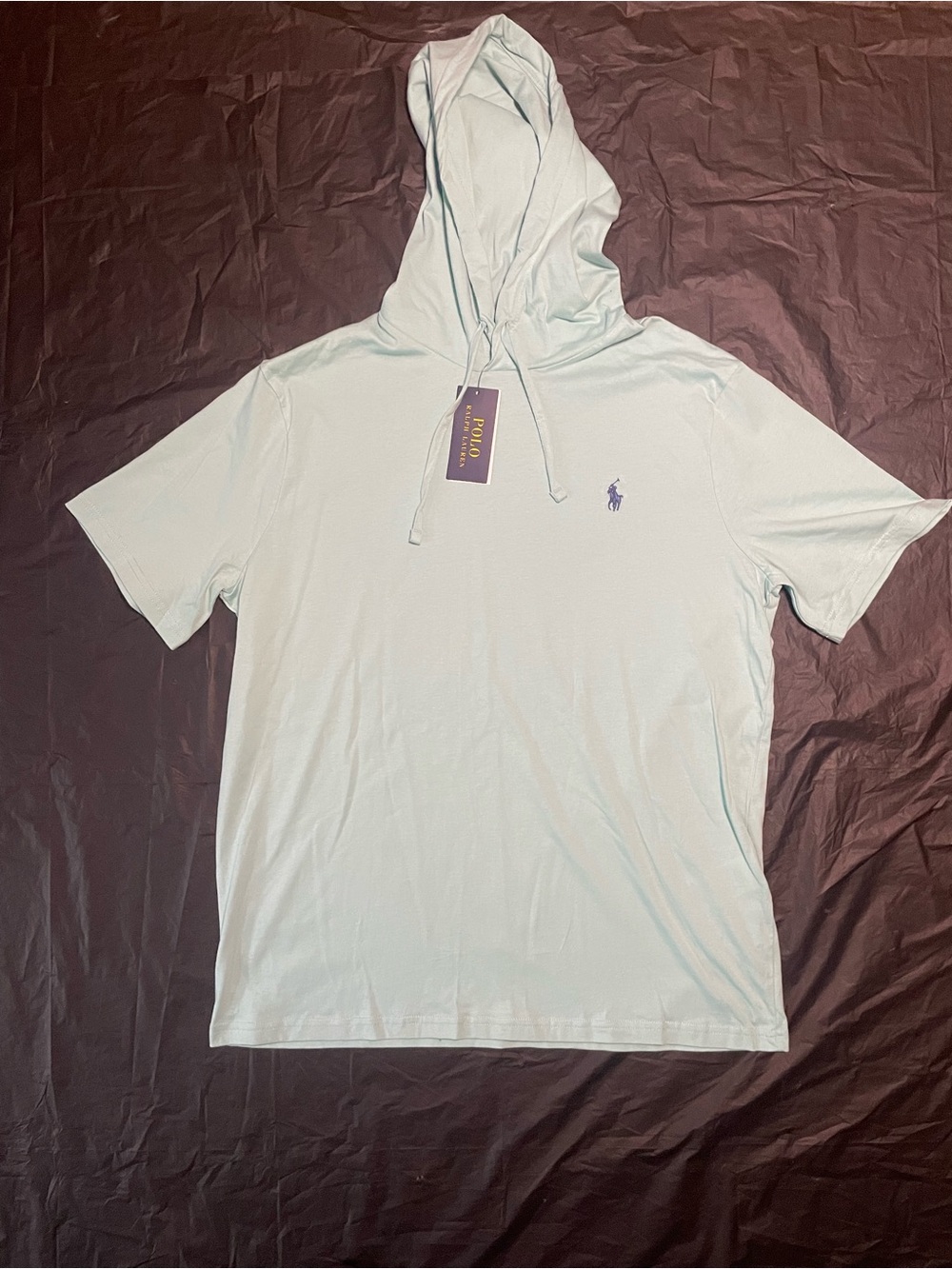 Ralph Lauren Men's Light Mint Short-Sleeve Hooded Tee